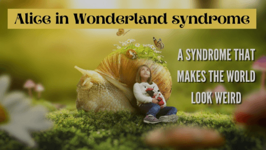 Alice in wonderland syndrome